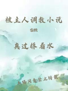 被主人调教小说sm