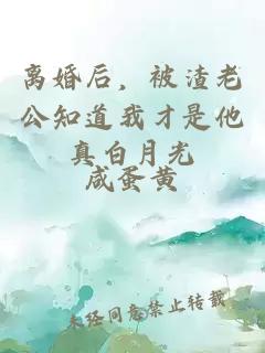 离婚后，被渣老公知道我才是他真白月光