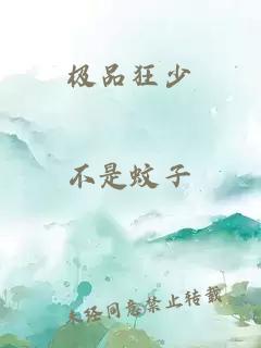 极品狂少