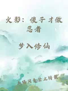 火影：傻子才做忍者