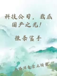 科技公司，我成国产之光！