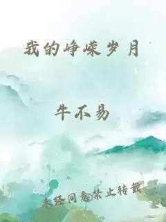 我的峥嵘岁月