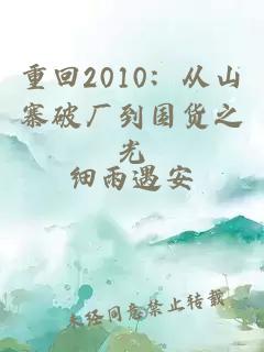 重回2010：从山寨破厂到国货之光